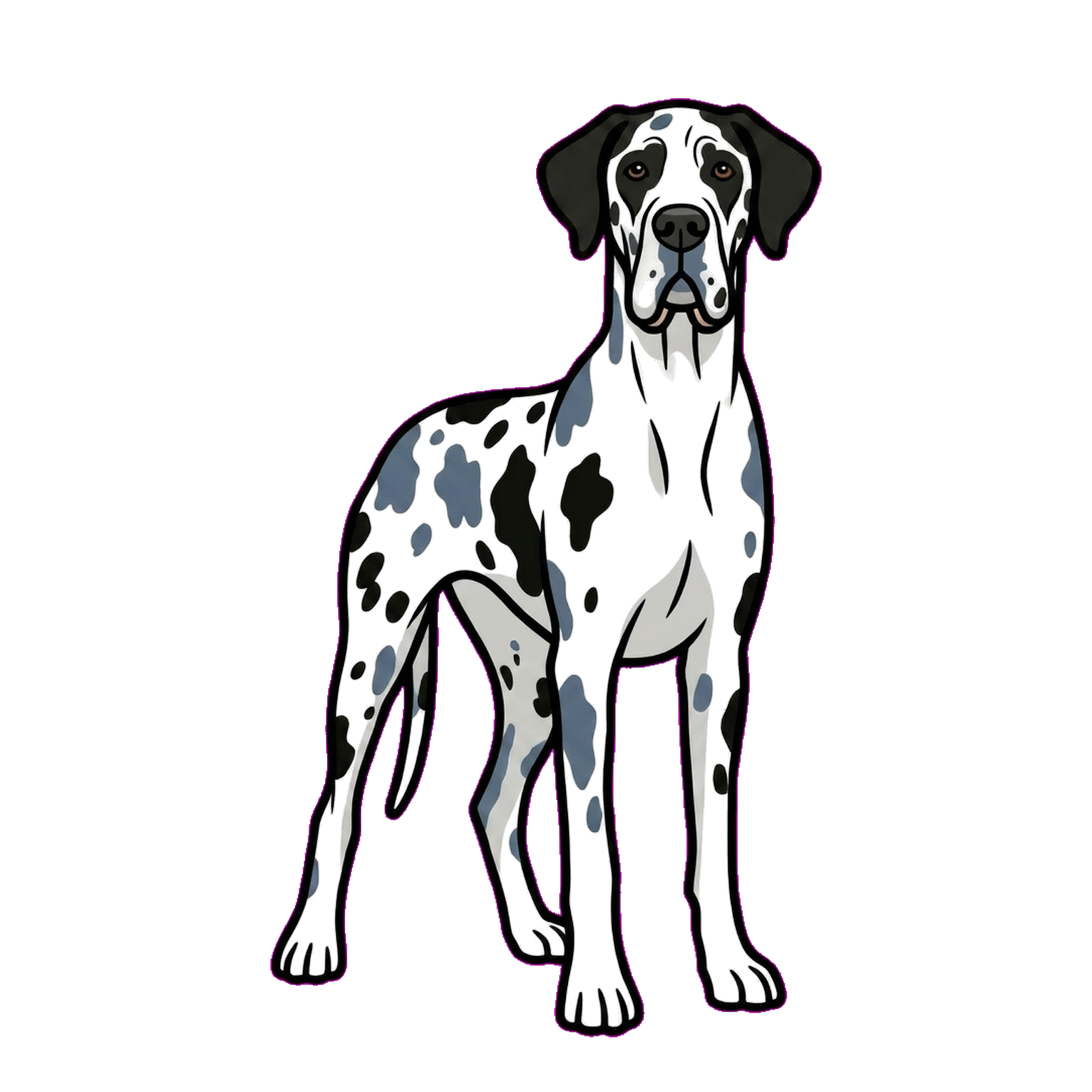 Black Blue Merlequin Great Dane