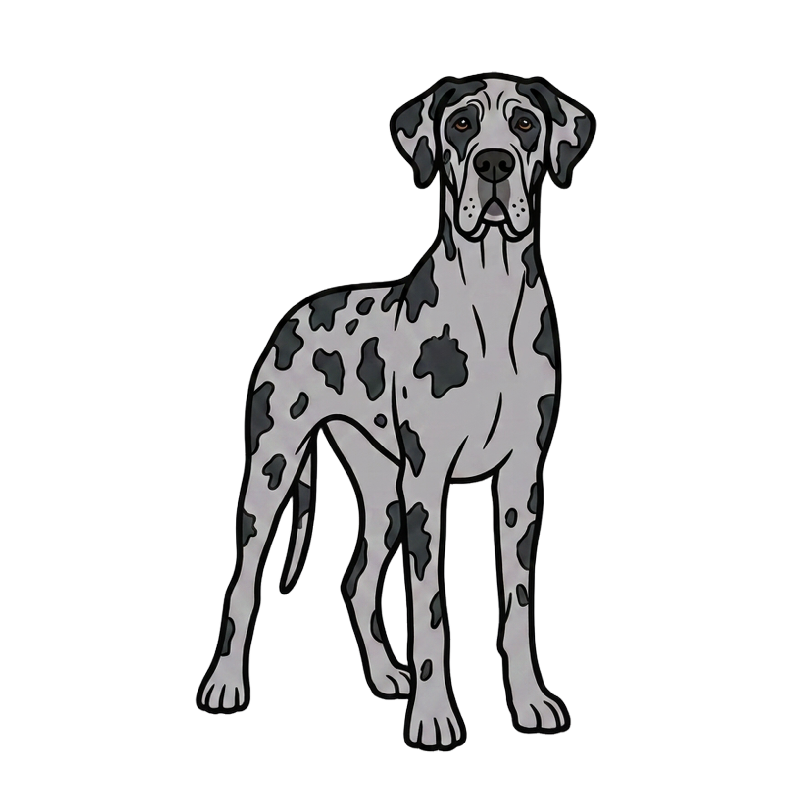 Blue Merle Great Dane
