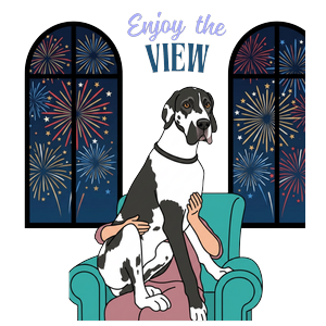 Enjoy the View