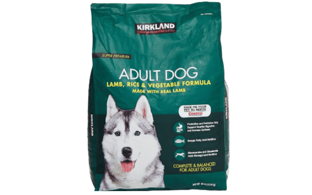 best great dane food
