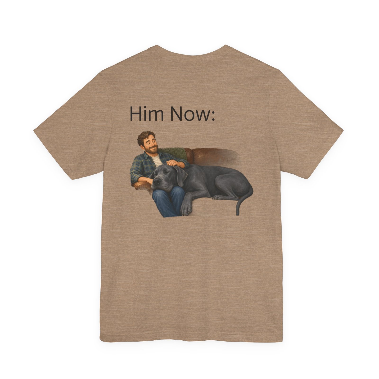 Blue Great Dane T-Shirt — "NO DOGS" Script Front with Man and Dog on Couch Graphic - Image 3