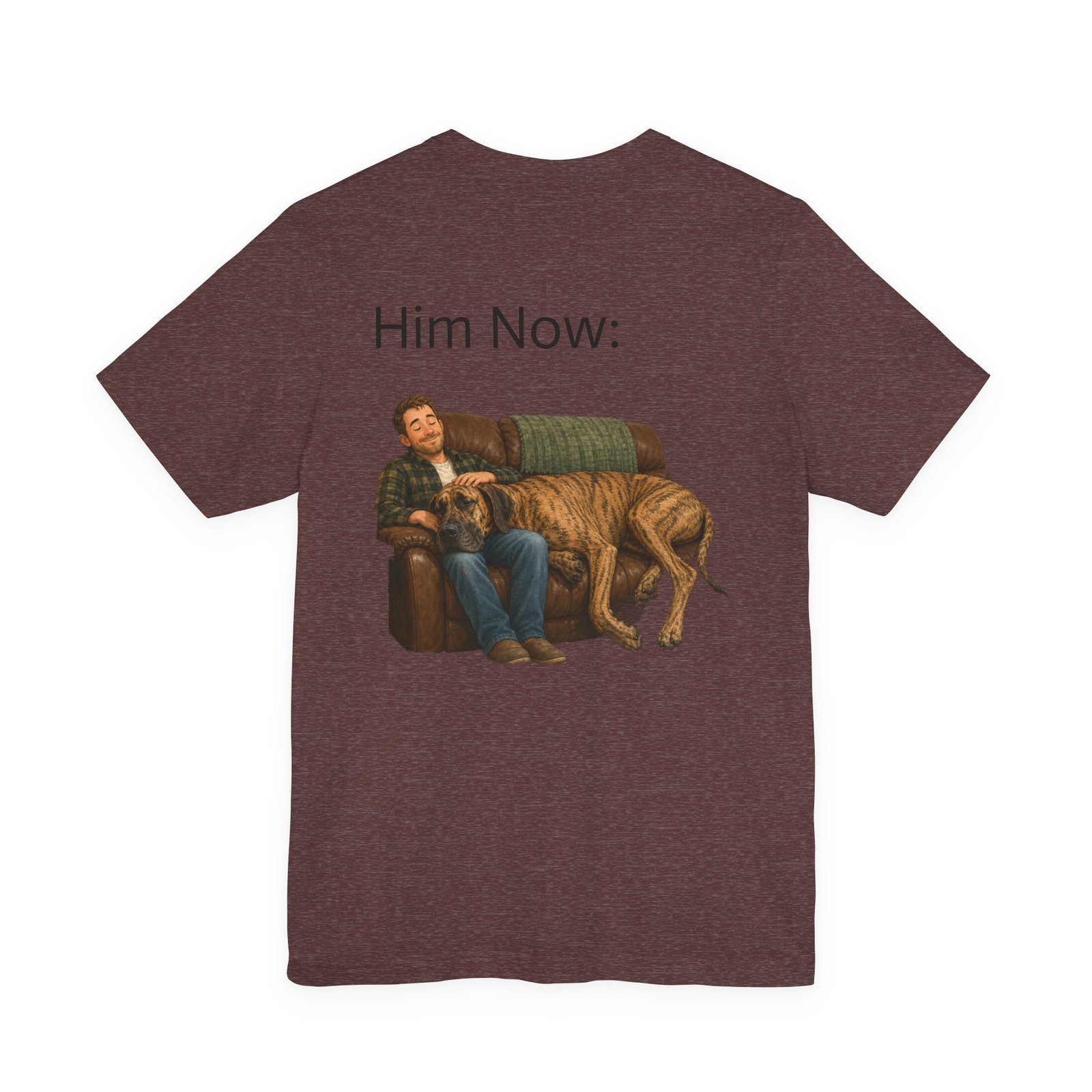 Brindle Great Dane T-Shirt — "NO DOGS" Script Front with Man and Dog on Couch Graphic - Image 3